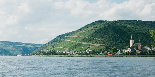 feature image