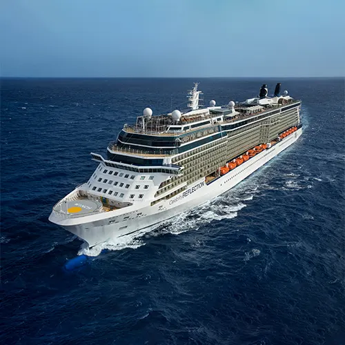Celebrity Reflection