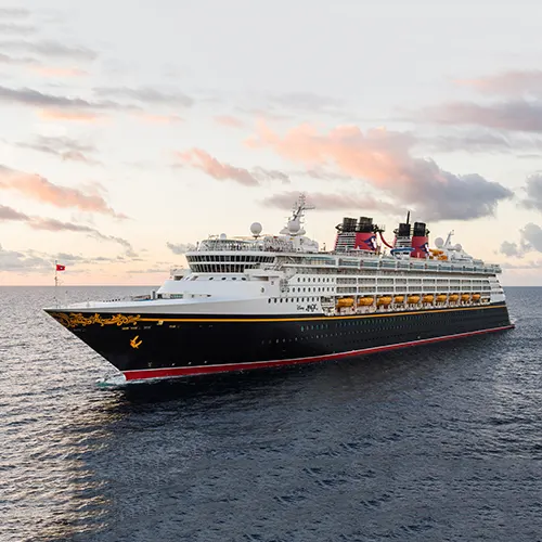 Disney Magic