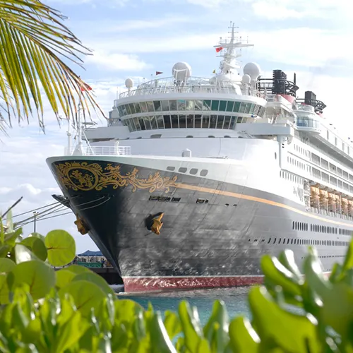 Disney Wonder