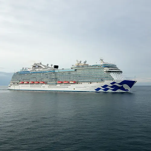 Discovery Princess