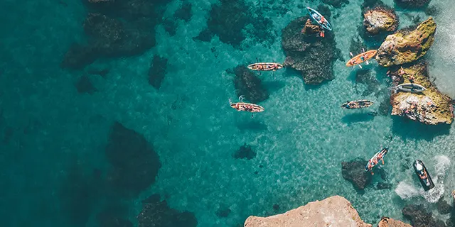 feature image
