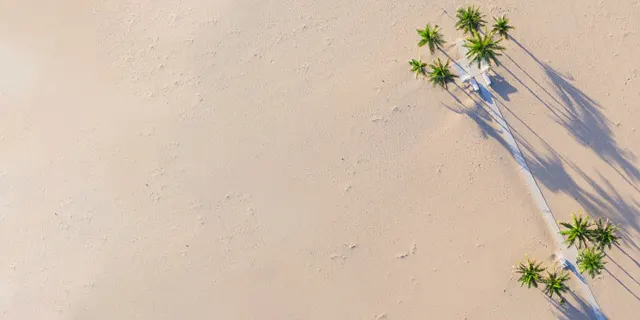 feature image