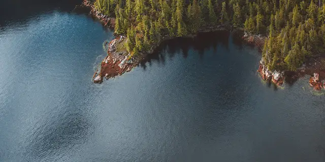 feature image