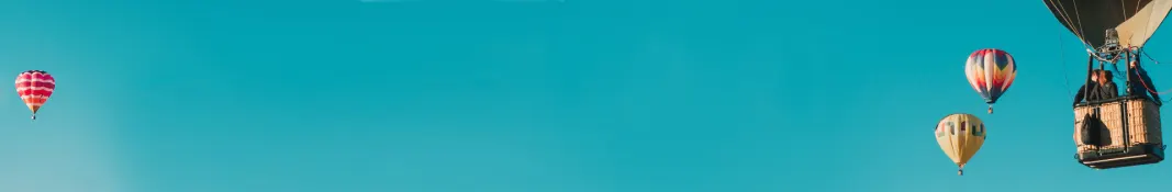 feature image