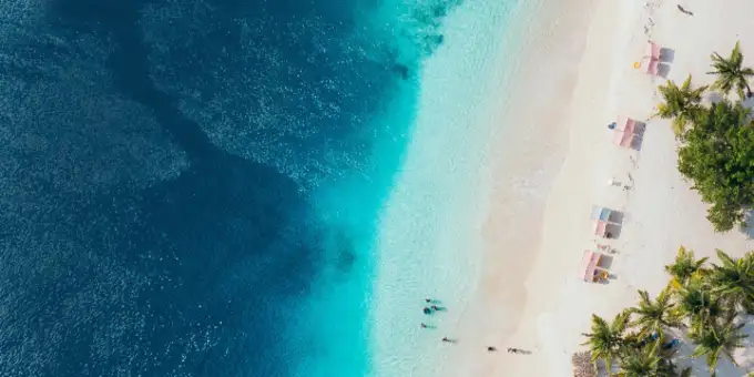feature image
