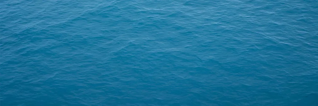 feature image