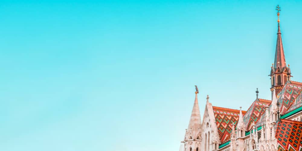 feature image