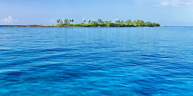 feature image