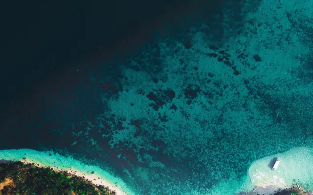 feature image