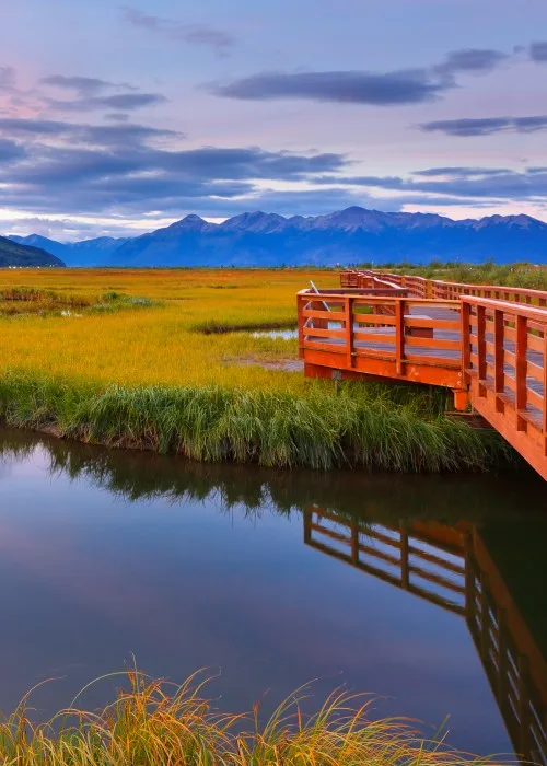 Grand Alaska Adventure with Alaska Railroad Southbound