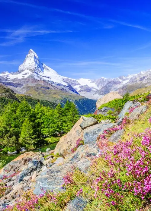 Zurich to Basel via the Bernina and Glacier Express Trains