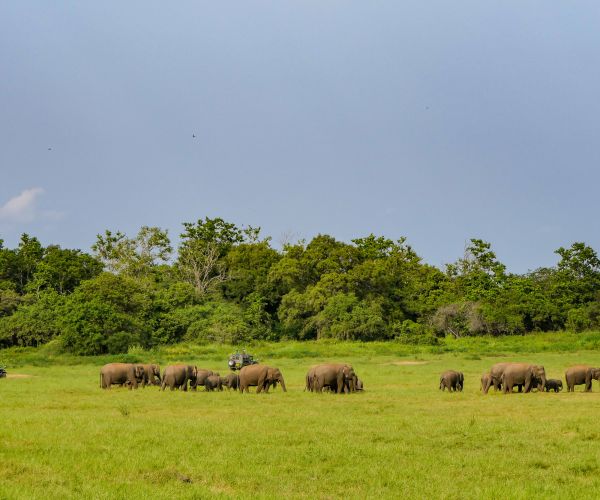 Sri Lanka