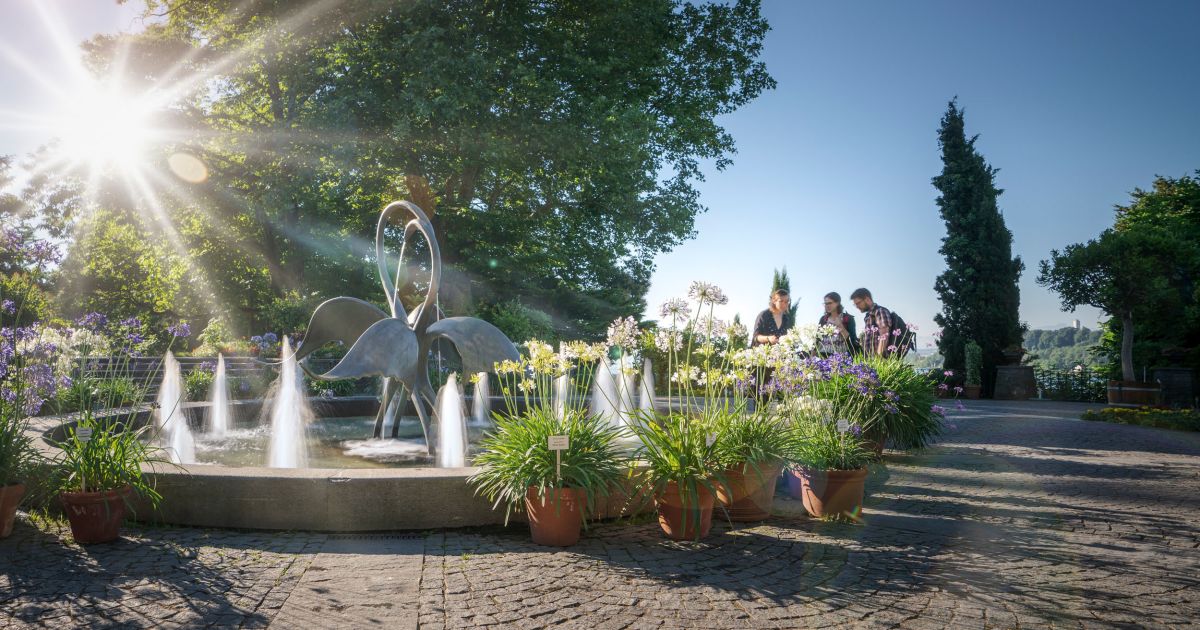 ᐅ Schöne Gärten am Bodensee Reisemagazin HolidayCheck