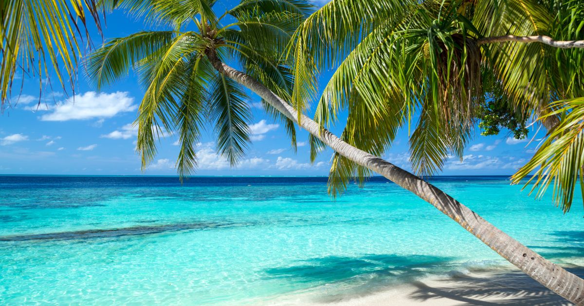 ᐅ 5 Gründe für einen Urlaub auf den Malediven