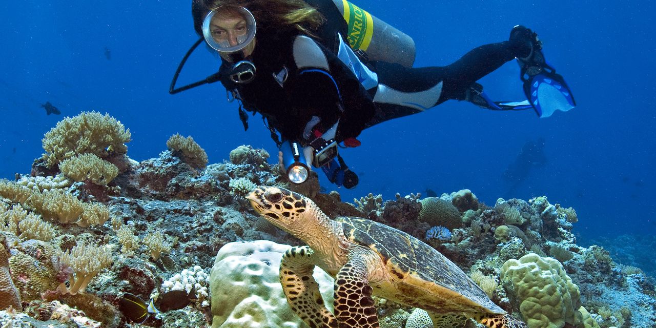 ᐅ Die 10 schönsten Tauchreviere der Welt | Reisemagazin HolidayCheck