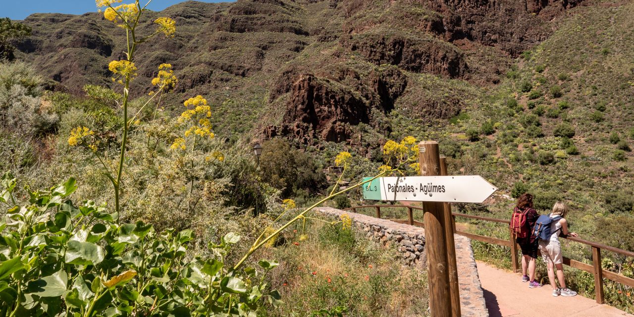 ᐅ Barranco de Guayadeque Das Naturwunder von Gran Canaria