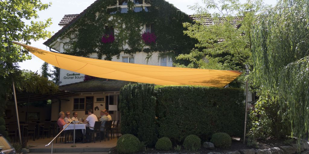 Grüner Baum Moos Fischsuppe Grüner Baum Moos Fischsuppe
