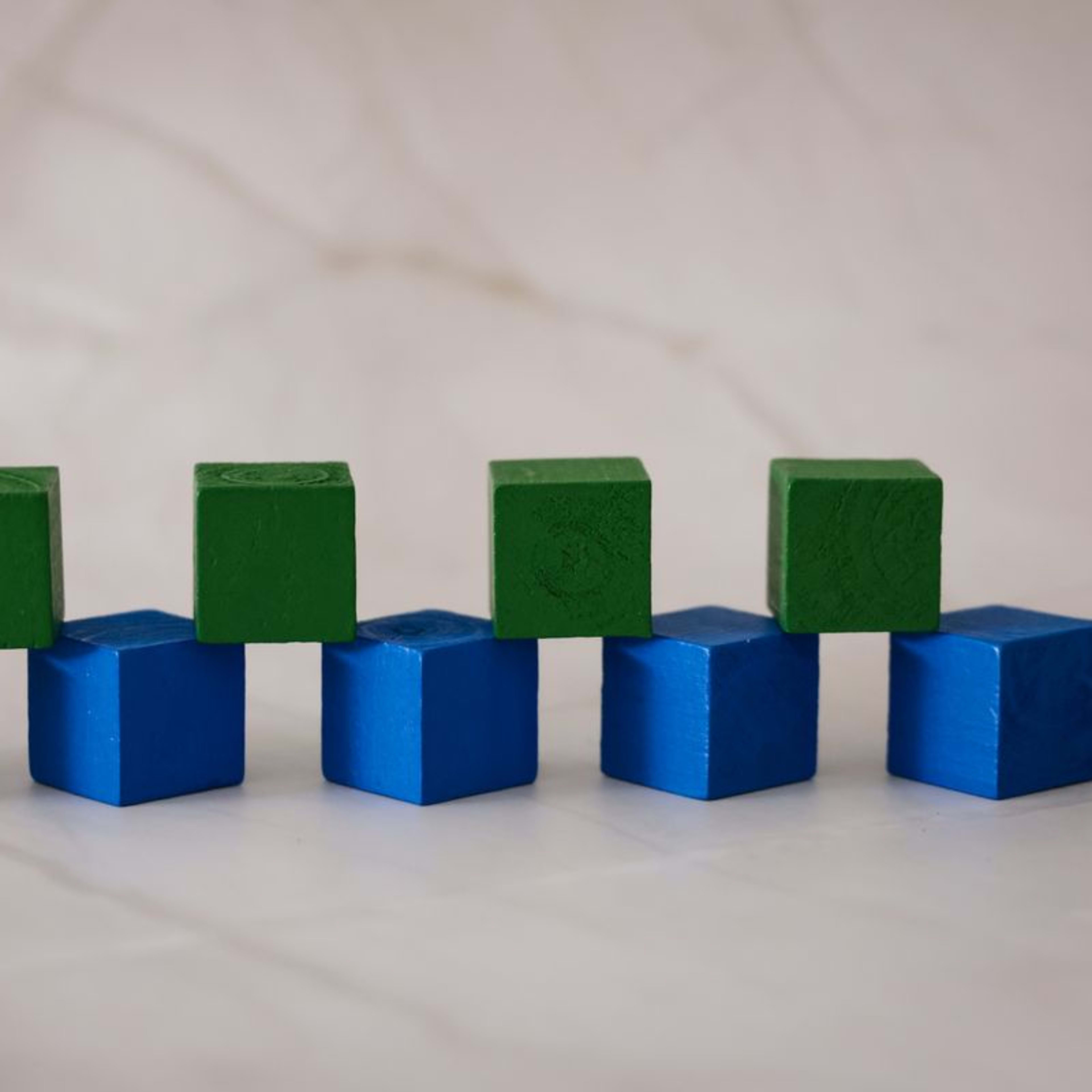 Wooden Building Blocks (100 pcs)