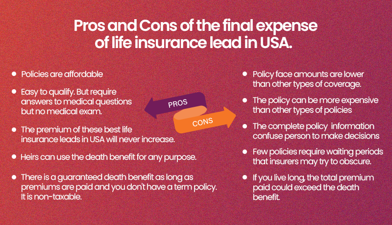 Life Insurance Leads in USA