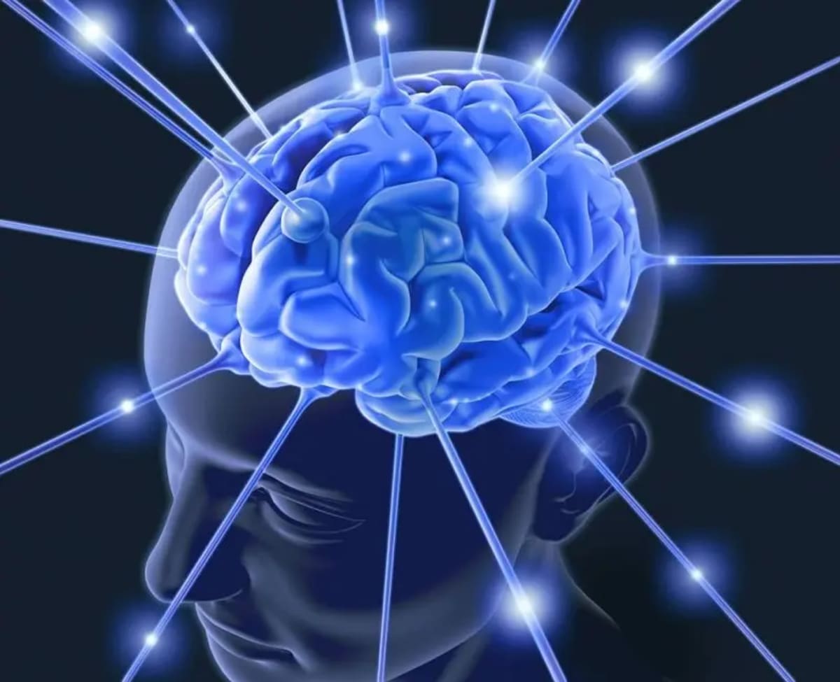 New Research Exposes Immune System’s Role in Memory Decline, Offers Path to Cognitive Protection