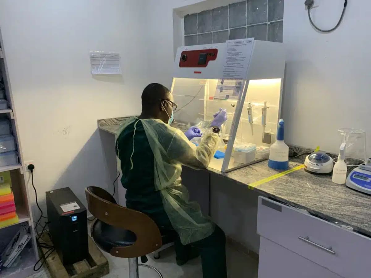 First Effective Drug for Lassa Fever Shows 50% Drop in Deaths in Groundbreaking Trial