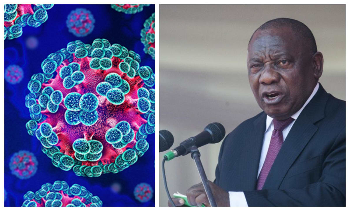 Hantavirus Outbreak in South Africa Highlights Global Debate on Pathogen Access and Equity