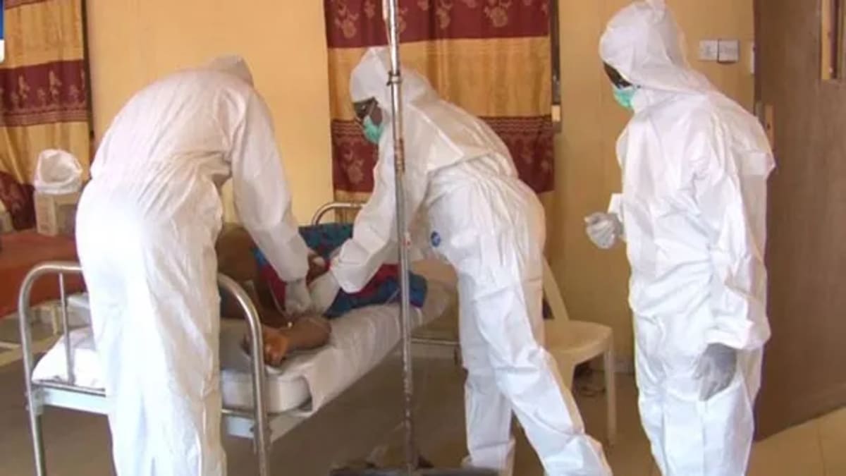 Nigeria Faces Alarming Surge in Lassa Fever Deaths as Cases Spread Across 23 States