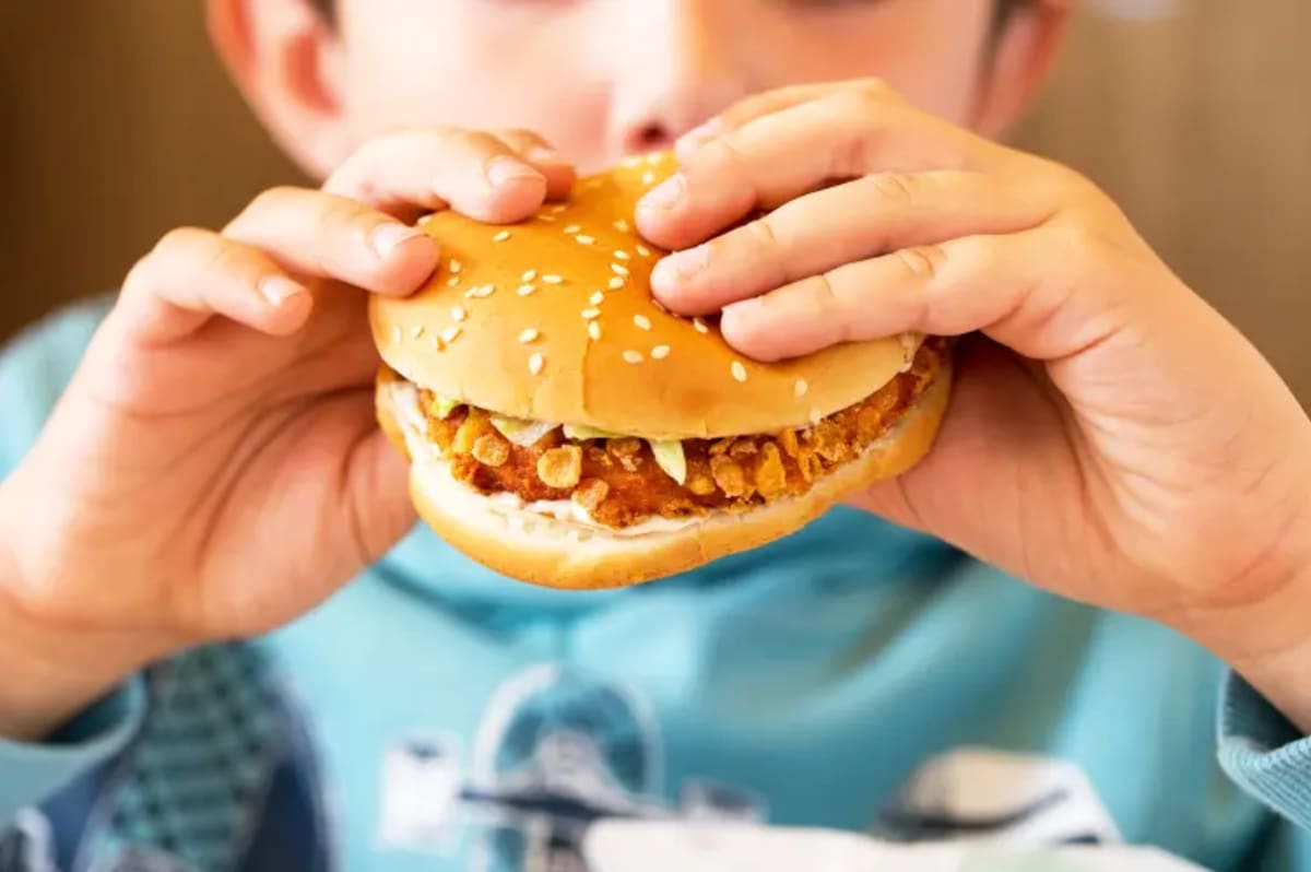 Early Junk Food Exposure May Permanently Alter Brain Circuits Linked to Appetite, Study Finds