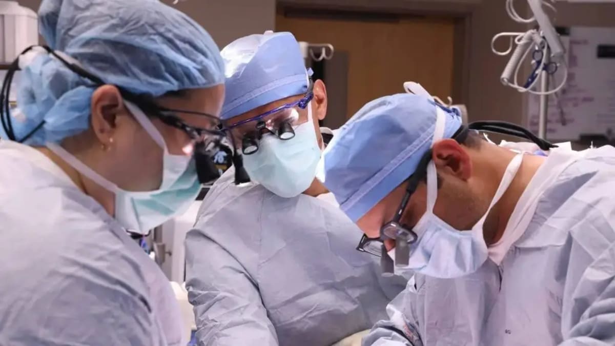 Mayo Clinic Protocol Eliminates Heavy Alcohol Relapse After Liver Transplant: Study
