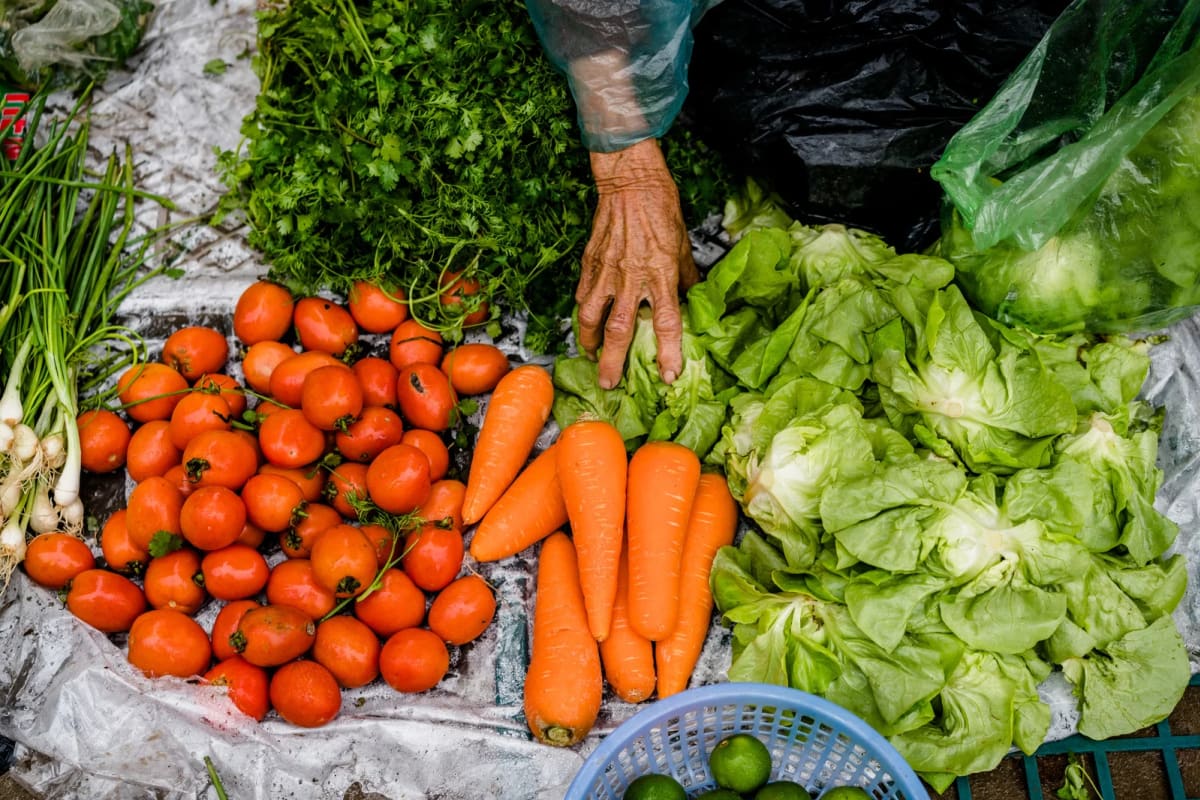 WHO Unveils New Global Estimates to Transform Food Safety and Save Millions of Lives