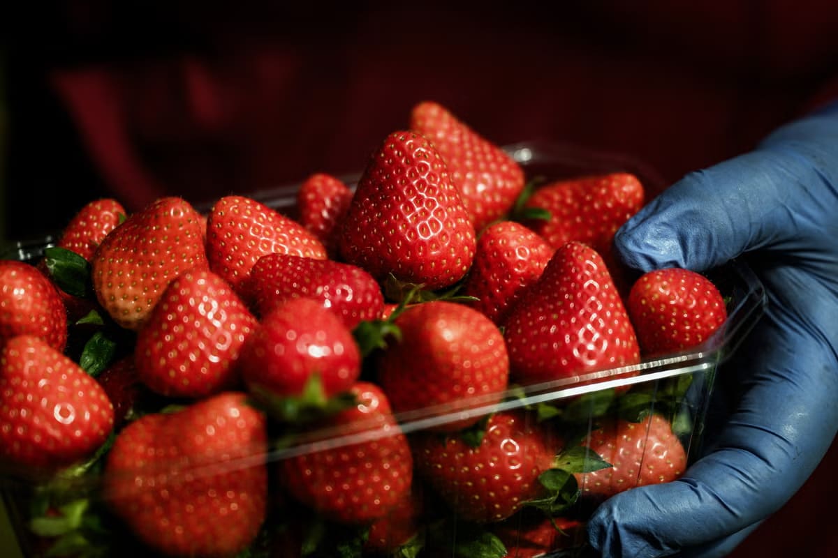 Flavanols in Focus: Why Your Five a Day May Need a Nutritional Upgrade for Heart Health