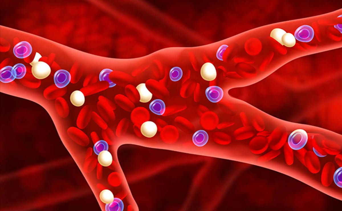 Under the Microscope: How Stress Physically Alters Your Blood and Why It Matters