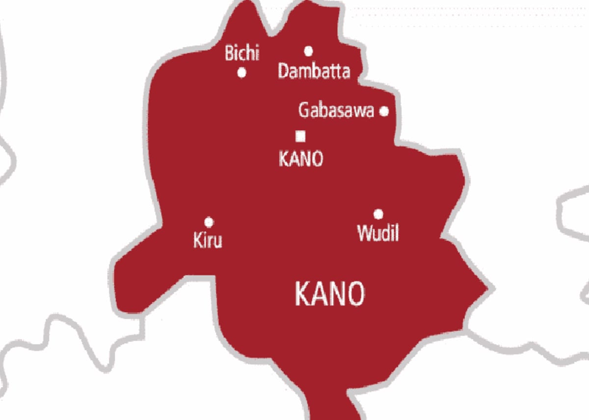 Kano State Intercepts $130,000 Worth of Counterfeit Medicines in Major Public Health Crackdown