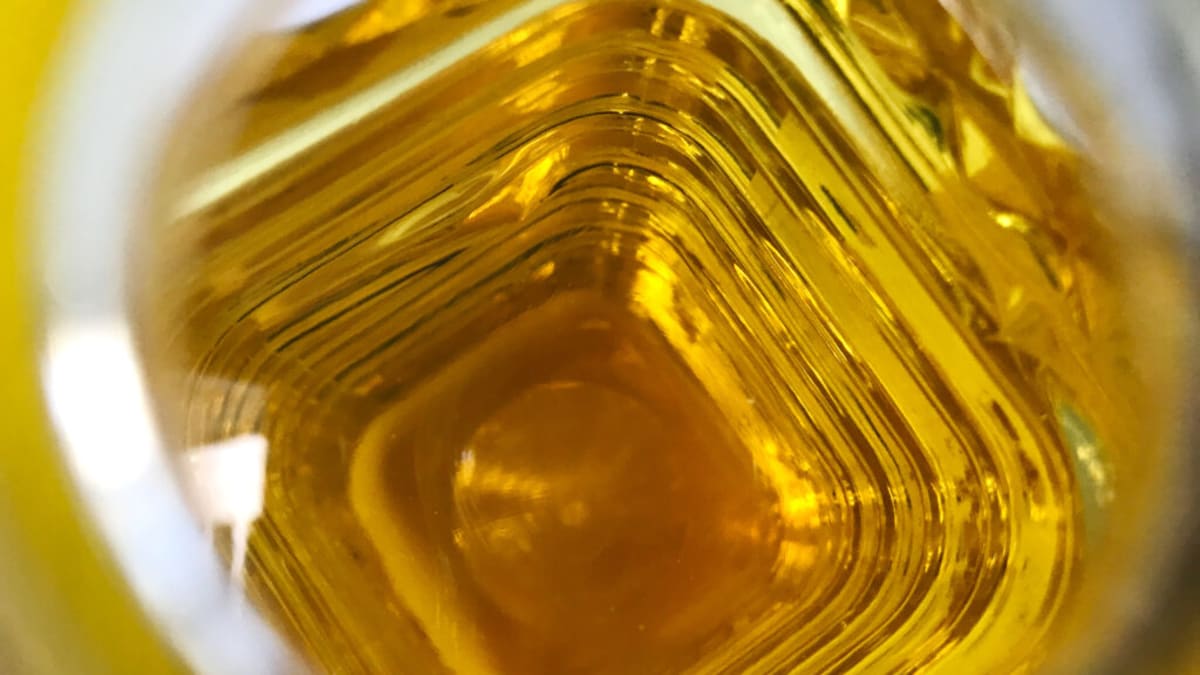 Cardiologists Warn Against Unverified Seed Oil Replacements in Heart Patients