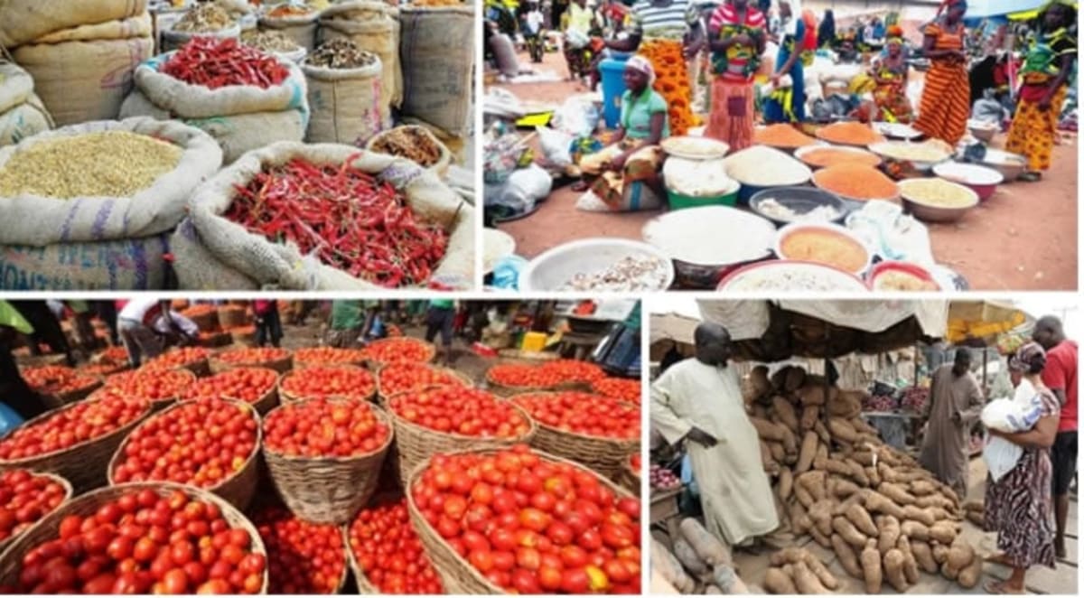 Youth Led Agricultural Training in Nigeria Aims to Strengthen Food Security and Economic Resilience