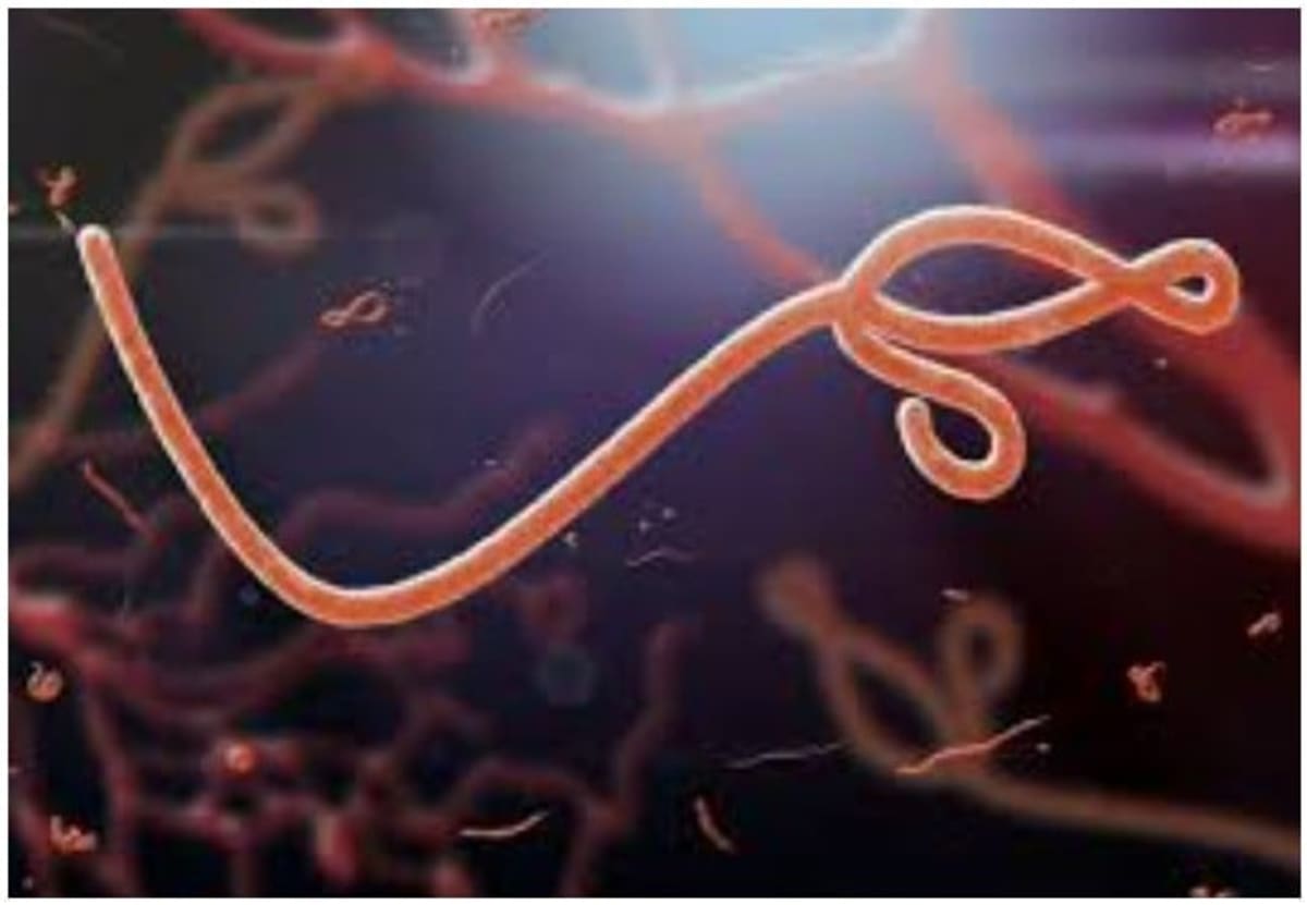 Nigeria Raises Ebola Alert Level as Bundibugyo Strain Spreads in East and Central Africa