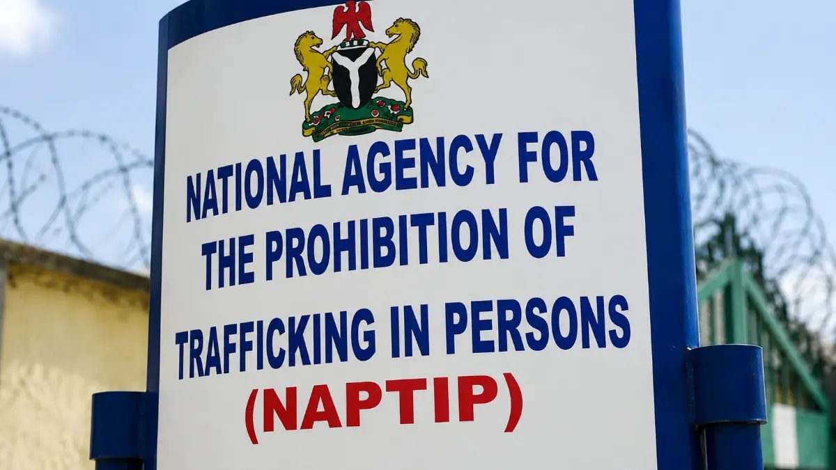 Nigeria's NAPTIP secures 20 SGBV convictions, rescues 3,000 victims