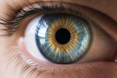 Breakthrough Imaging Reveals How Human Cone Opsins Enable Ultra Fast Daylight Vision