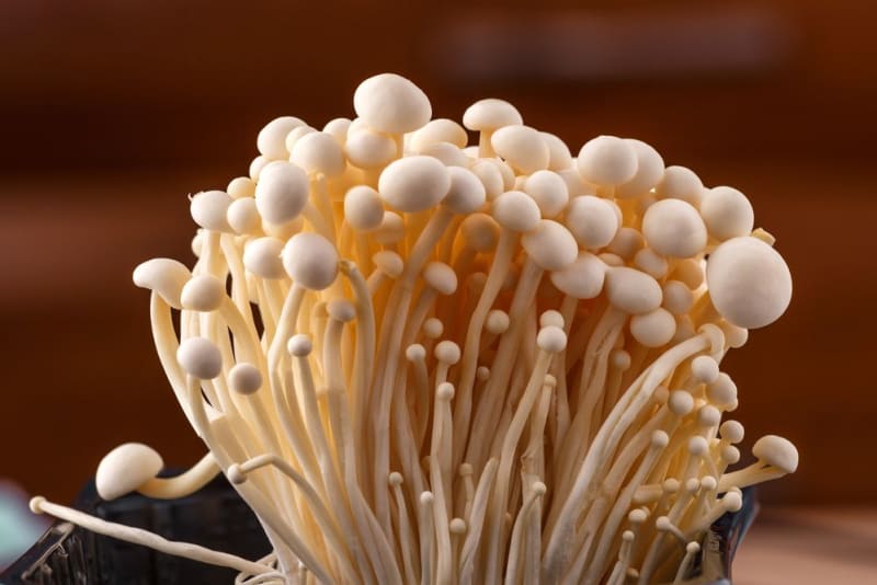 FDA Issues Nationwide Recall of Enoki Mushrooms After Listeria Detection