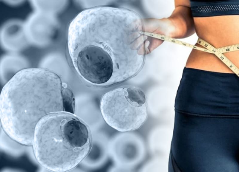 GLP 1 Weight Loss Drugs Preserve Muscle While Targeting Fat, Landmark Study Finds