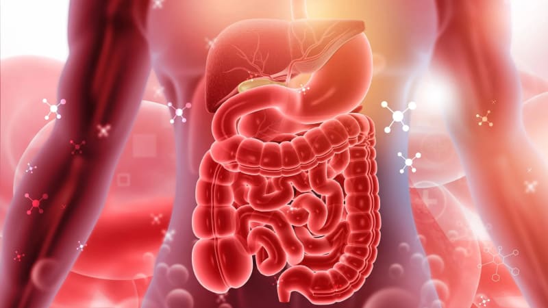 Seven Day Fasting Study Reveals Cellular Rewiring with Potential Health Breakthroughs