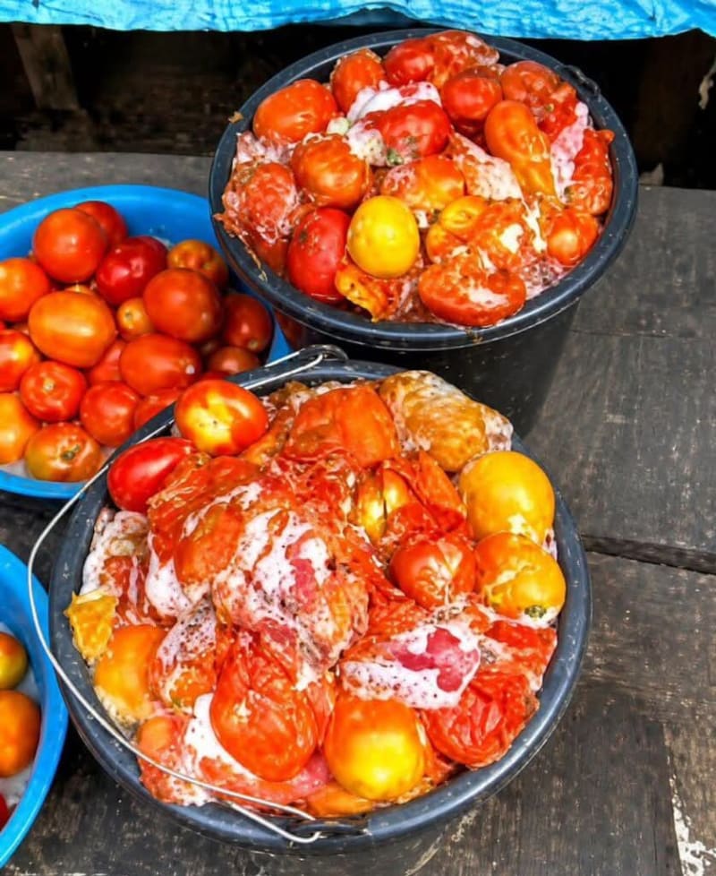 Lagos Issues Urgent Warning on Toxic Tomatoes: How to Protect Your Family from Hidden Food Poisoning Risks