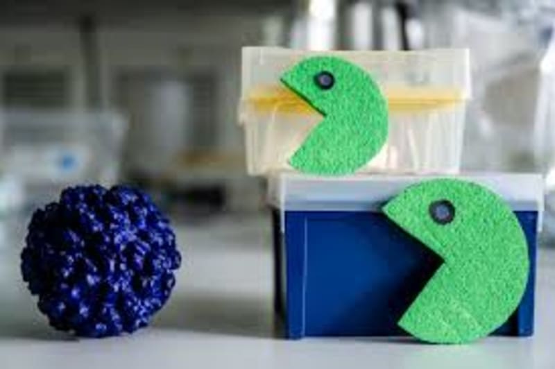 CRISPR/Cas13 Breakthrough Offers Hope for Hepatitis E Patients With First RNA-Targeted Therapy