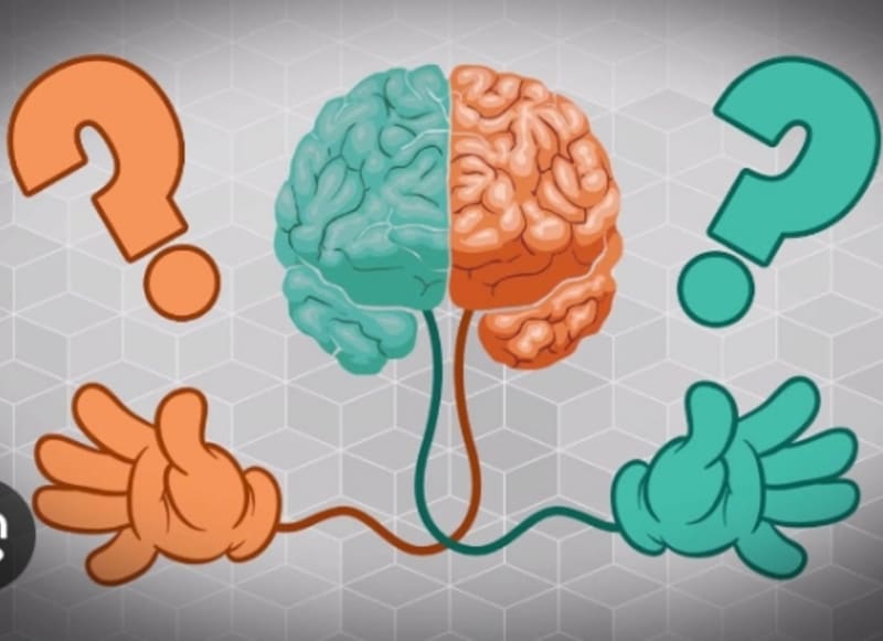 The Right-Handed Majority: How Evolution Shaped Human Biology and What It Reveals About Our Health