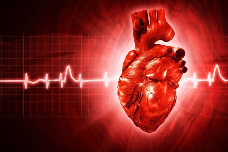 Europe’s Silent Heart Crisis: How Inequality is Fueling a Preventable Epidemic of Cardiovascular Disease
