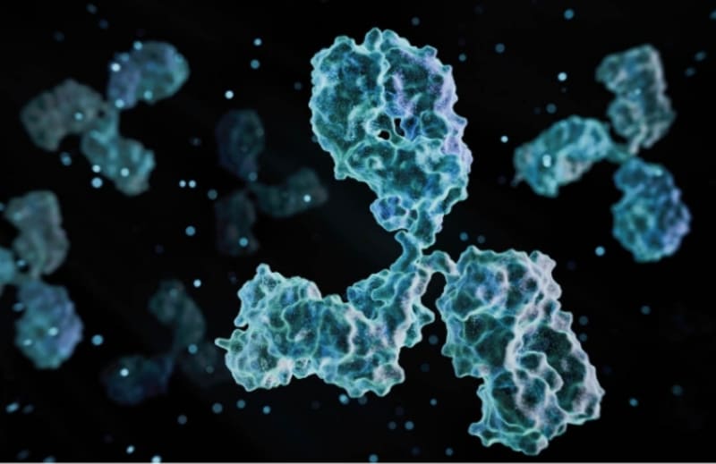 Chemotherapy’s Hidden Risk: How Immune System Reprogramming May Fuel Aggressive Cancer Resistance
