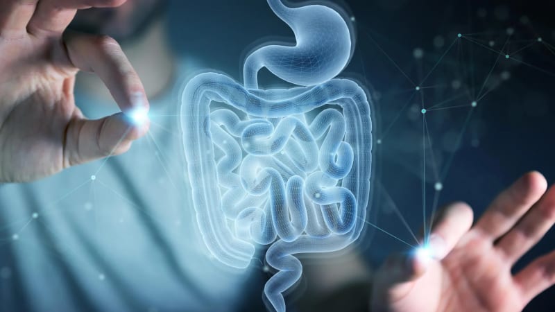Breakthrough discovery: Amino acid cysteine found to accelerate gut healing after radiation therapy