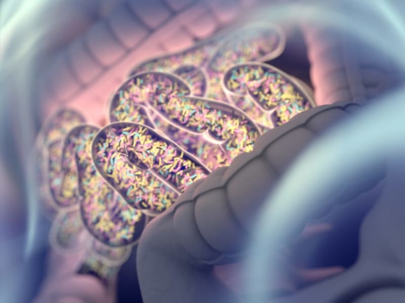 Gut Microbiome Predicts Immunotherapy Success in Advanced Melanoma Patients