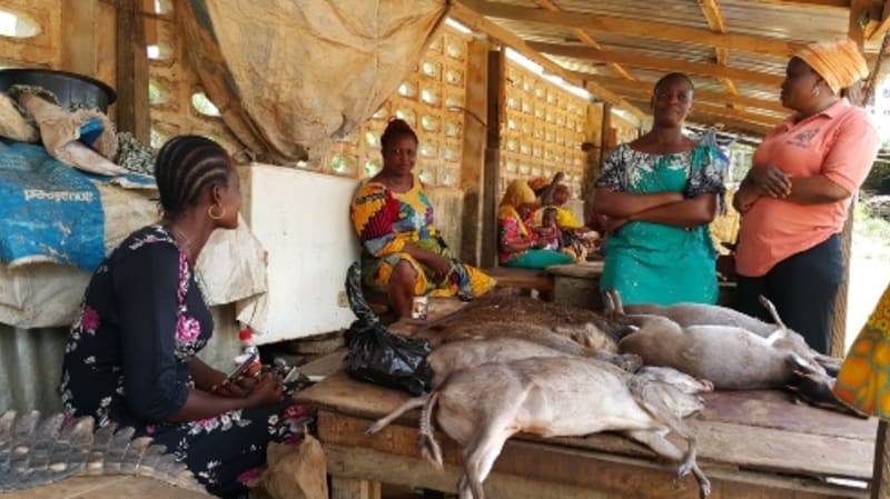 Nigerian Physicians Urge Caution on Bushmeat as Ebola Resurfaces in Africa
